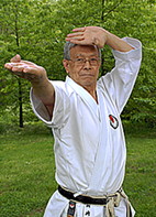 Master Teruyuki Okazaki